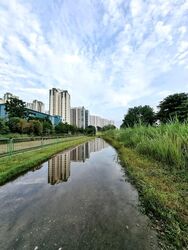 Yew Mei Green (D23), Condominium #581699201